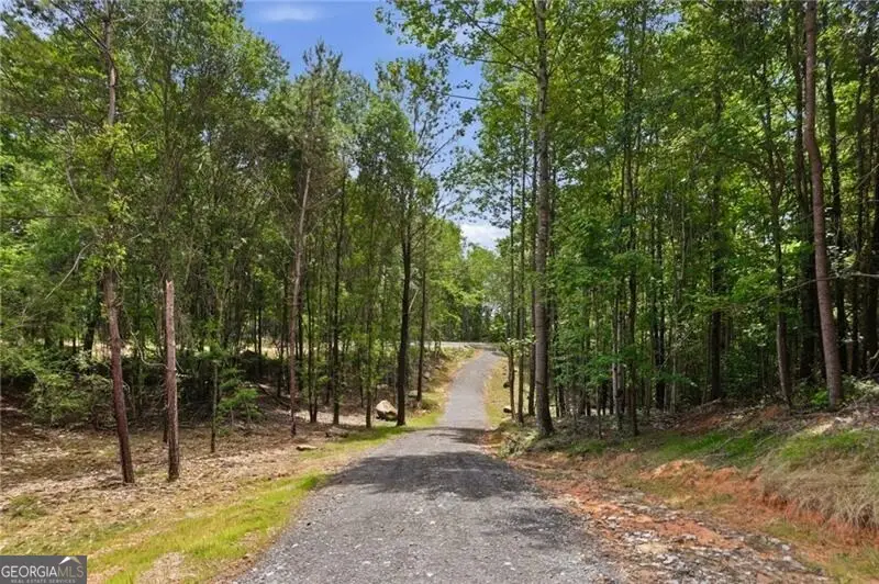 LOT 3 Pete Path, Dallas, GA 30157 - #2