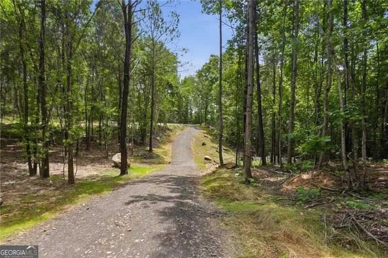 LOT 4 Orlando Path, Dallas, GA 30157 - #3