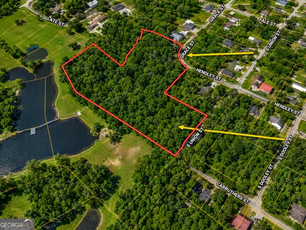 5 ACRES Grace Street, Hawkinsville, GA 31036