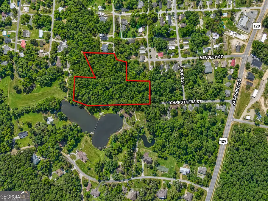 5 ACRES Grace Street, Hawkinsville, GA 31036 - #2