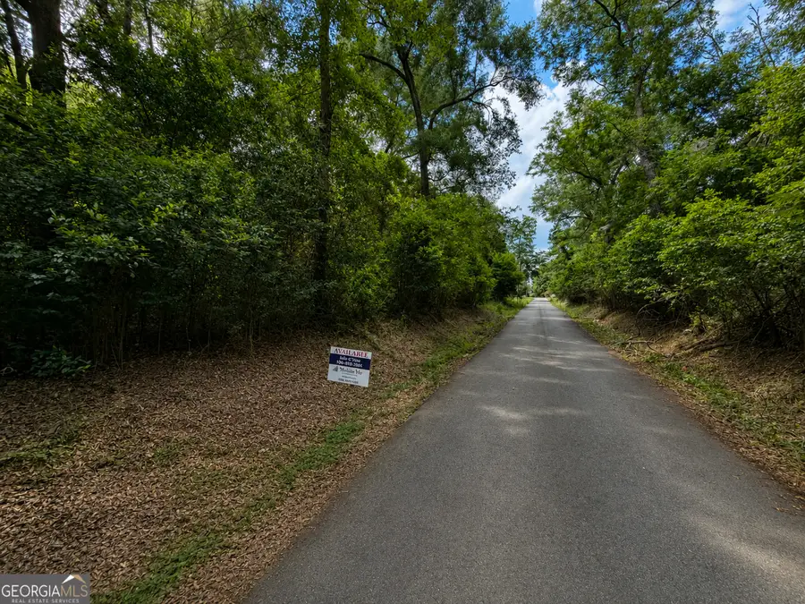 5 ACRES Grace Street, Hawkinsville, GA 31036 - #3