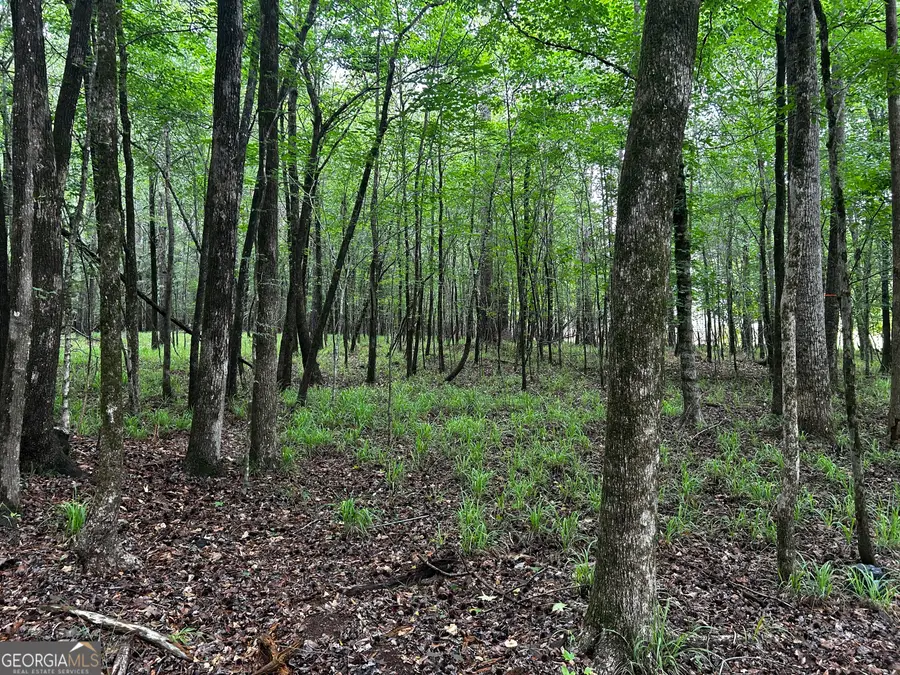 215 Winding River Road, Eatonton, GA 31024 - #2