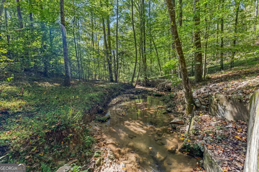 205 Whitewater Road, Demorest, GA 30535 - #3