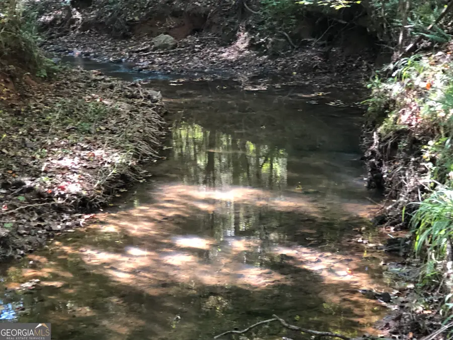 LOT #10 26.88 Acres Triune Mill Road, Thomaston, GA 30286 - #3