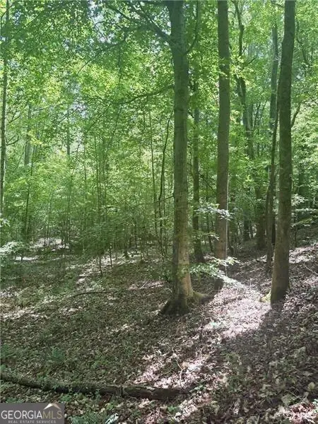 0 Benson Road, Dallas, GA 30132 - #3