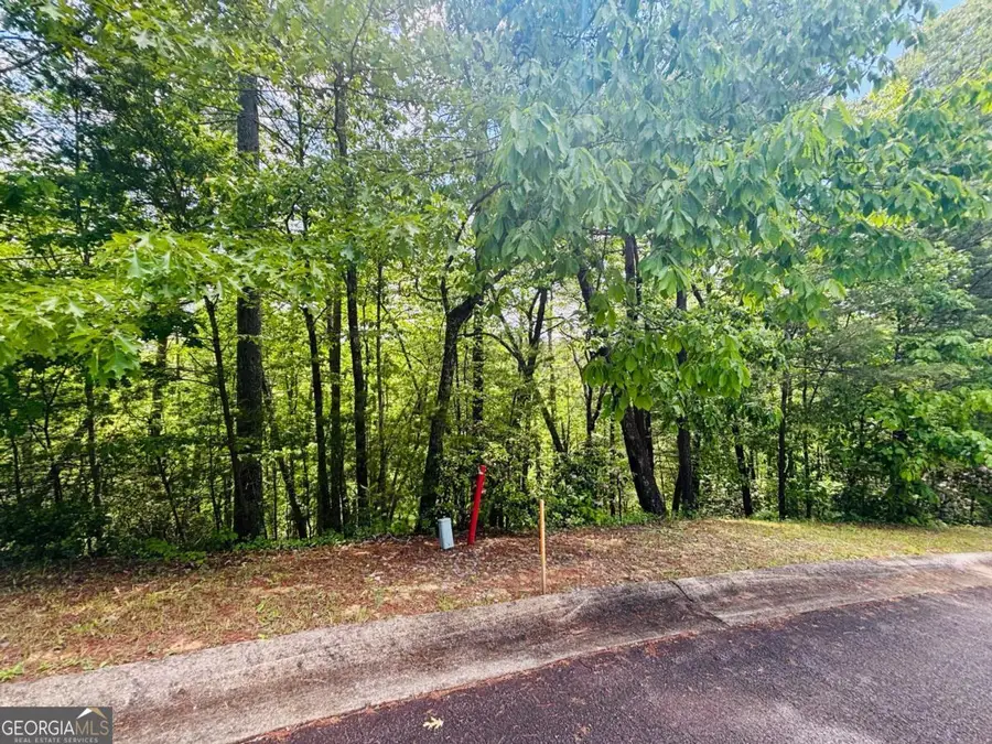 0 Rosen Strasse - Lot 141, Helen, GA 30545 - #2
