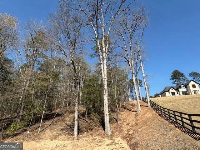 0 Jack Pittman Road, Dacula, GA 30019 - #1