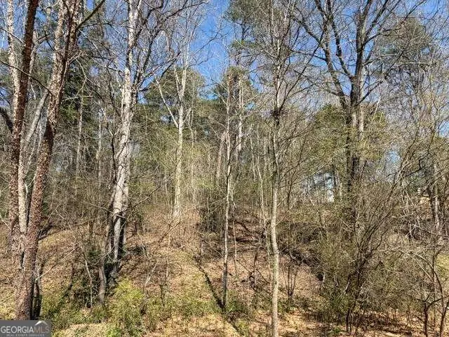 0 Jack Pittman Road, Dacula, GA 30019 - #2