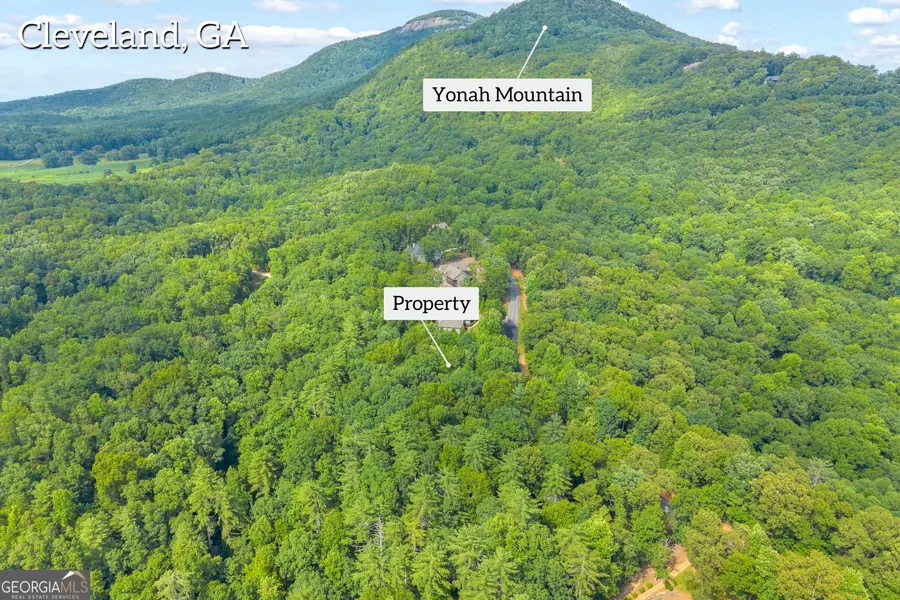 25 Forked Leaf Road, Cleveland, GA 30528 - #3