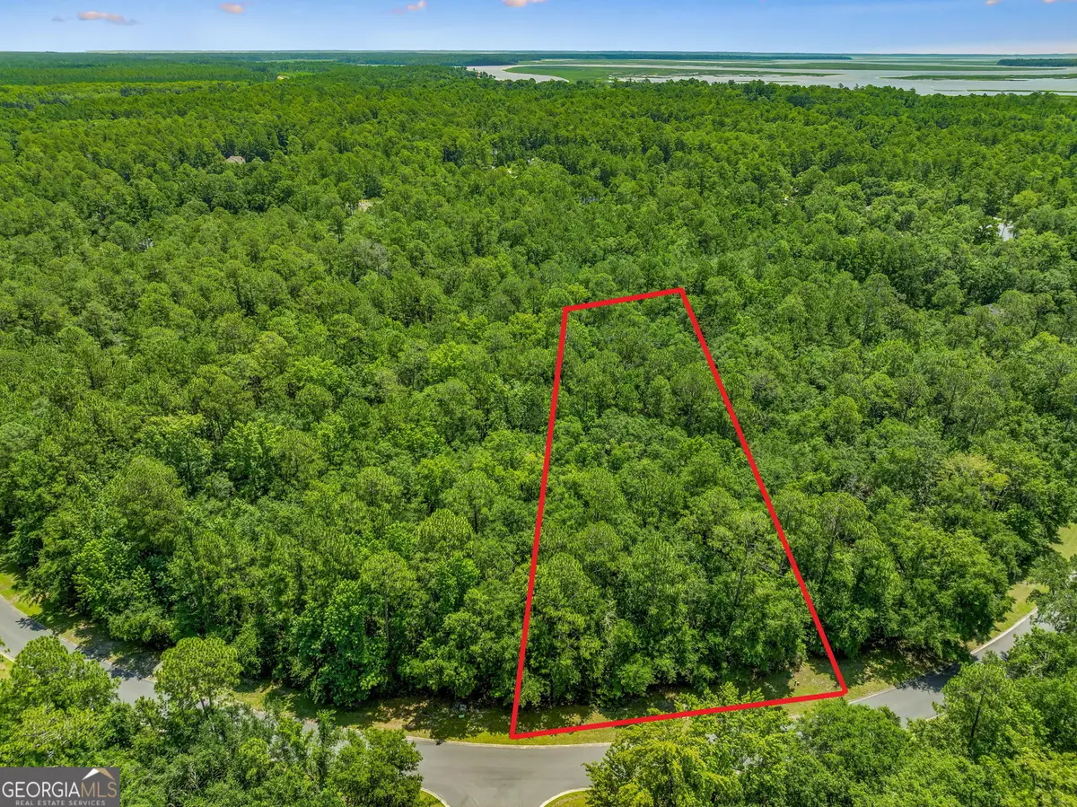 V/L 23 Lighthouse Circle, Woodbine, GA 31569 - #1