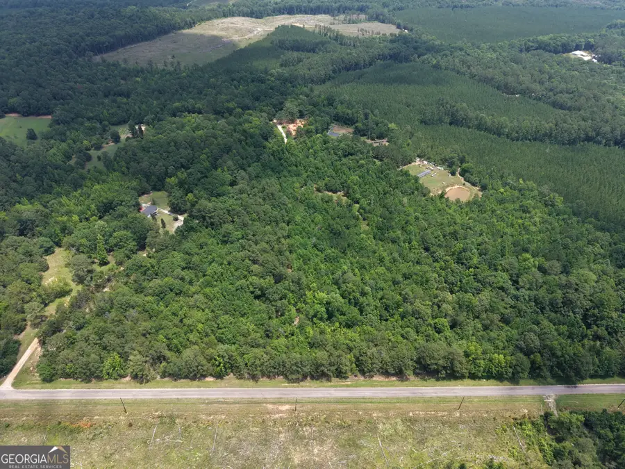 1030 Flat Rock Road, Tignall, GA 30668 - #2