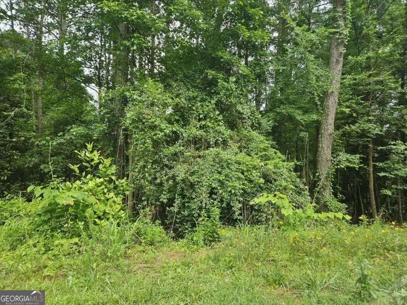 2435 Hi Roc Circle Ne, Conyers, GA 30012 - #1