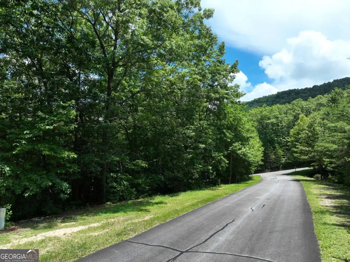 122 Cloudland Drive, Ellijay, GA 30536 - #1
