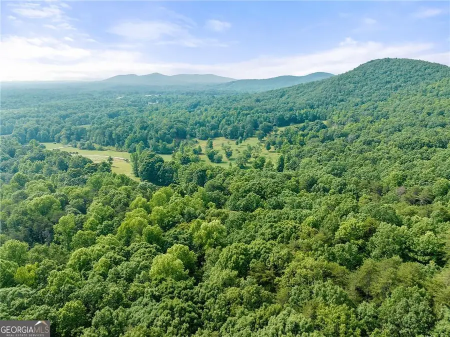 00 Freeman View Trail #LOT 4, Cleveland, GA 30528 - #3