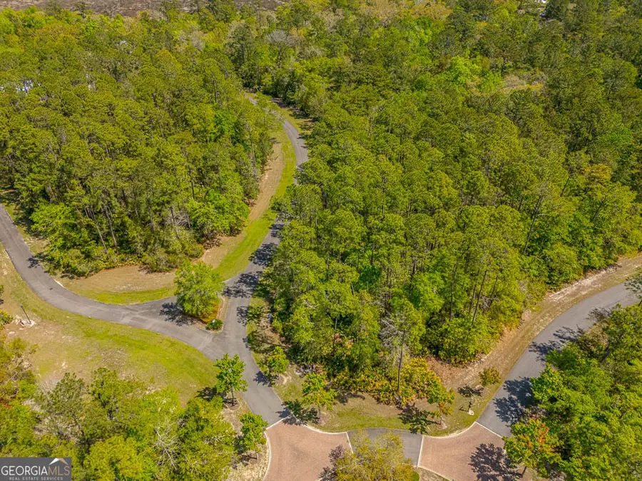 LOT 2 C River Place Drive, Waverly, GA 31565 - #2