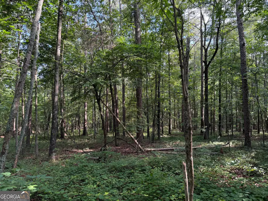 0 Clear Lake Drive, Adairsville, GA 30103 - #2