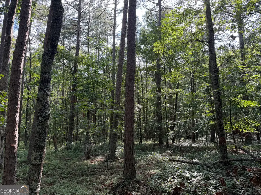 0 Clear Lake Drive, Adairsville, GA 30103 - #3