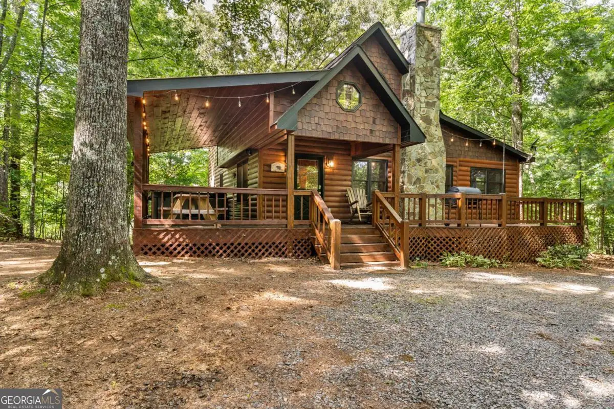 162 Little Falls Drive, Mineral Bluff, GA 30559 - #1