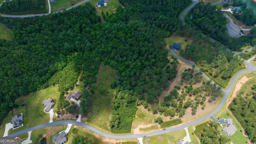 LOT 343 Loop Lane, Blairsville, GA 30512 - #2