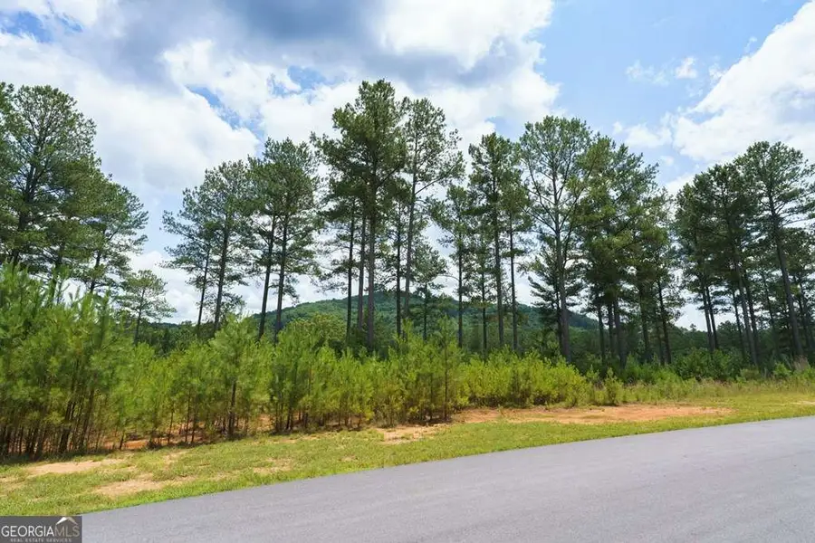 LOT 343 Loop Lane, Blairsville, GA 30512 - #3