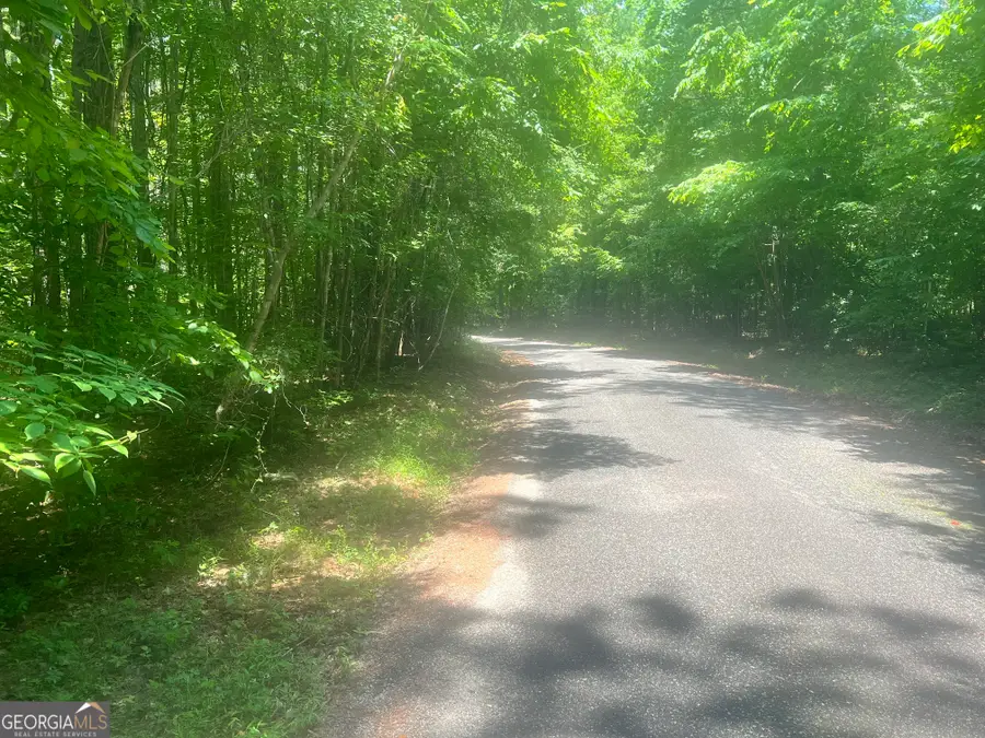 1589 Deer Field Farms Road, Monticello, GA 31064 - #2