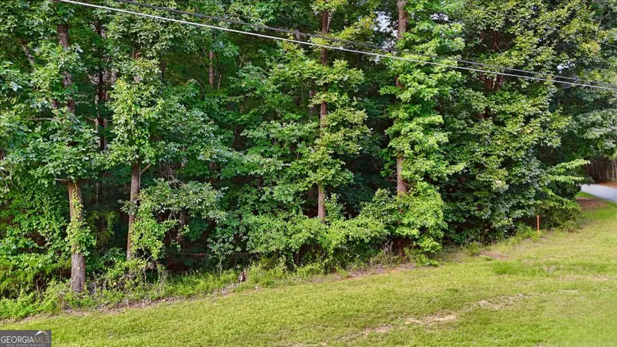 50 Sims Road, Covington, GA 30016 - #3