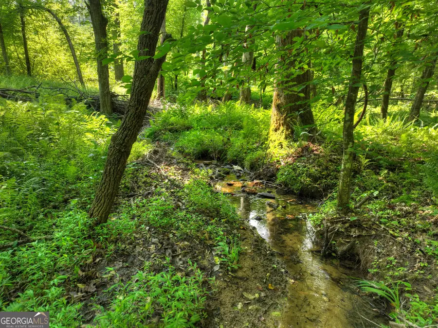 279 Shallow Water Trail, Talking Rock, GA 30175 - #3