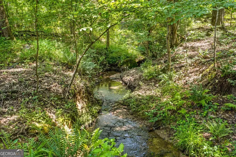 533 Mulberry Road, Winder, GA 30680 - #3