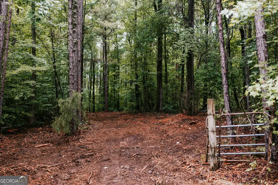 171 Glenwood Springs Terrace, Eatonton, GA 31024 - #3