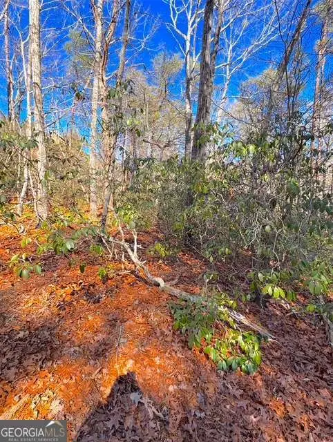 00 Horse Cove Court, Jasper, GA 30143