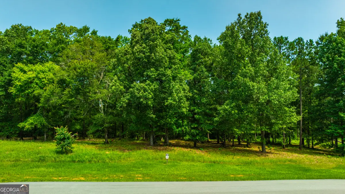 115 Harmony Bay Drive, Eatonton, GA 31024 - #1