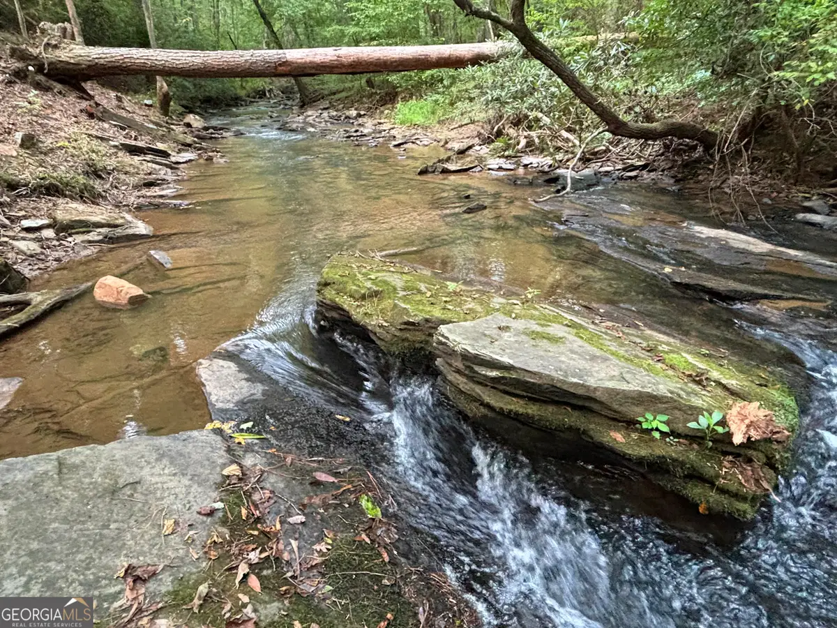 396 Mt Springer Road, Ellijay, GA 30540 - #1