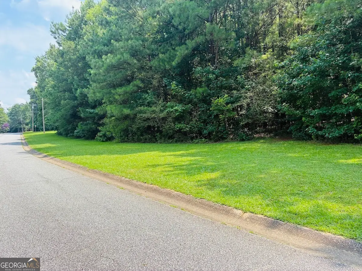 0 Mapledale Trail #LOT 51/52, Sharpsburg, GA 30277 - #1