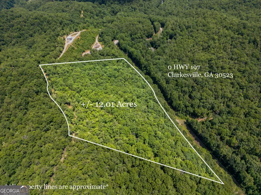 0 Hwy 197, Clarkesville, GA 30523 - #3