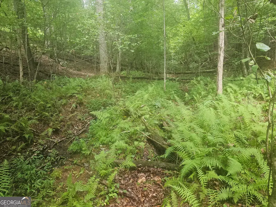 0 Watkins Road, Blue Ridge, GA 30513 - #3