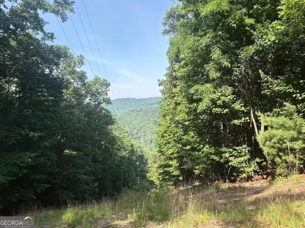 00 Laurel Branch Drive, Jasper, GA 30143