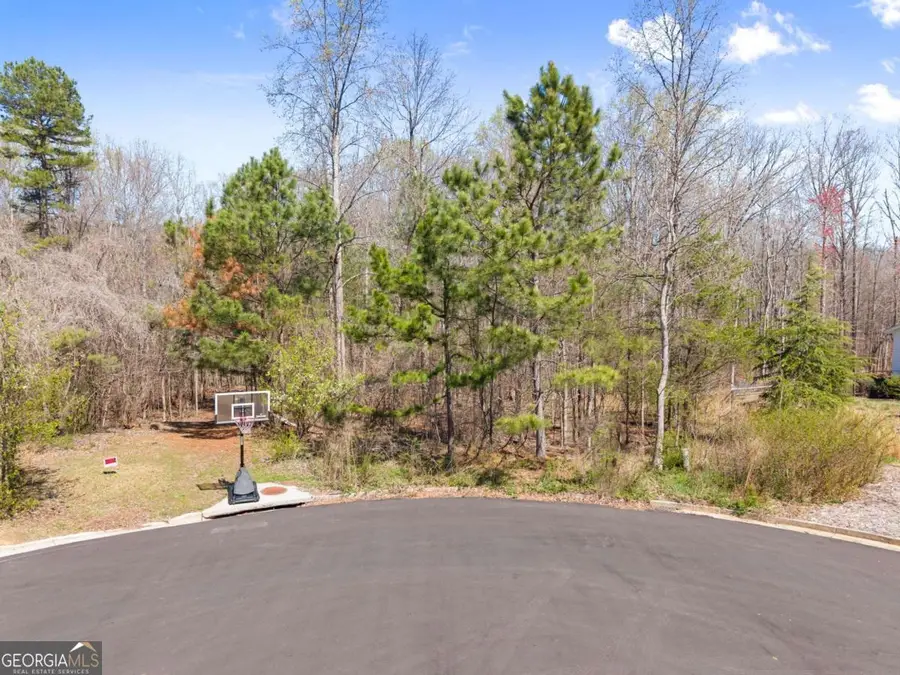 4055 Vintage Court, Cumming, GA 30041 - #2