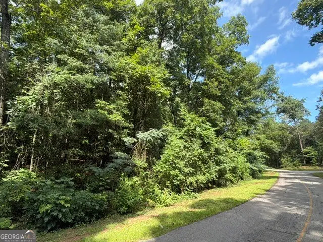 0 Alexander Way, Fort Valley, GA 31030 - #1