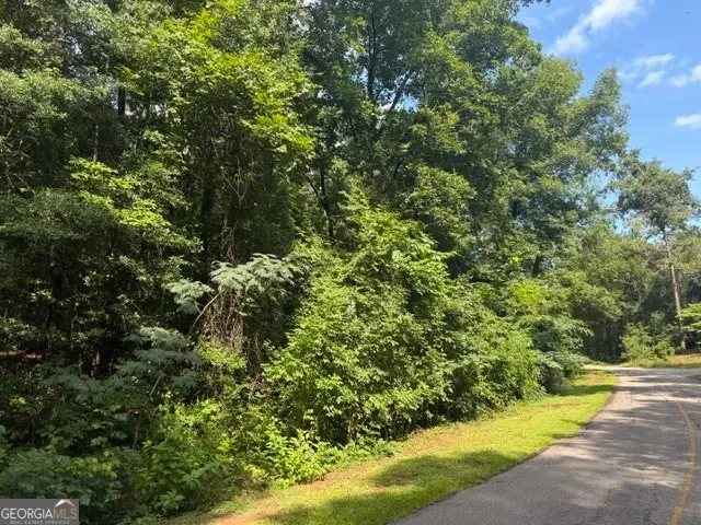 0 Alexander Way, Fort Valley, GA 31030 - #3