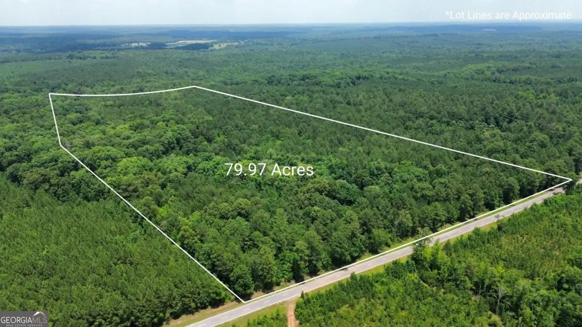 0 Springfield / Turner Road, Union Point, GA 30669 - #1