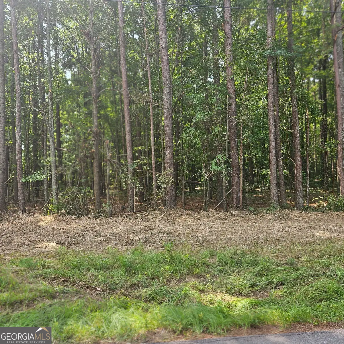 0 Academy Lane, Rutledge, GA 30663 - #1
