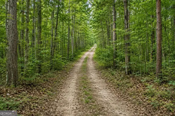 LOT 26 Waldrip Road, Dawsonville, GA 30534