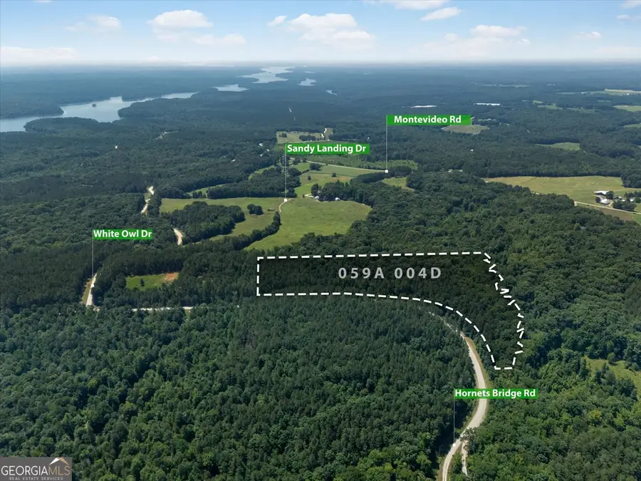 0 Hornets Bridge Road, Elberton, GA 30635 - #3