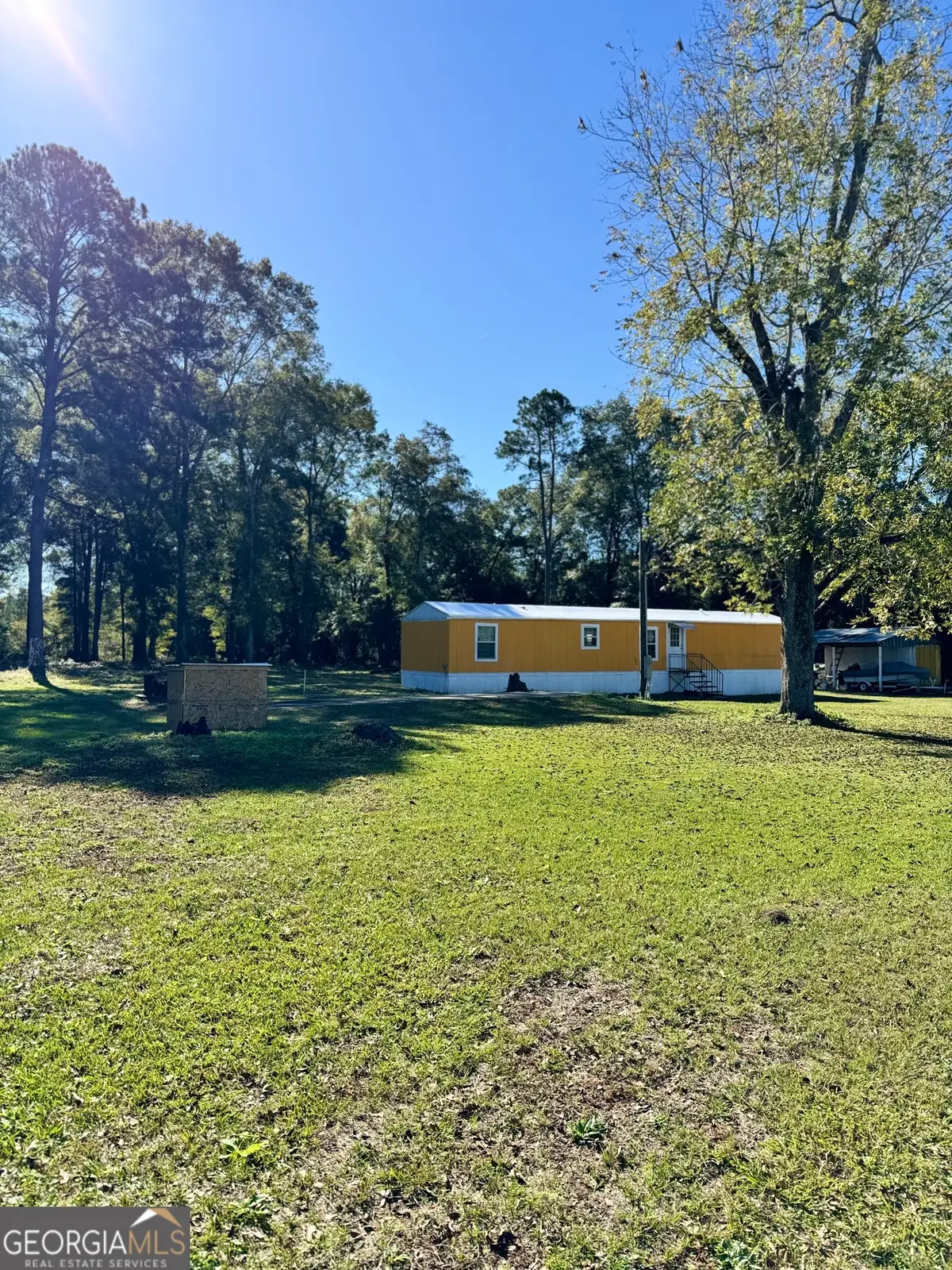 443 Fire Station Road, Vienna, GA 31092 - #1