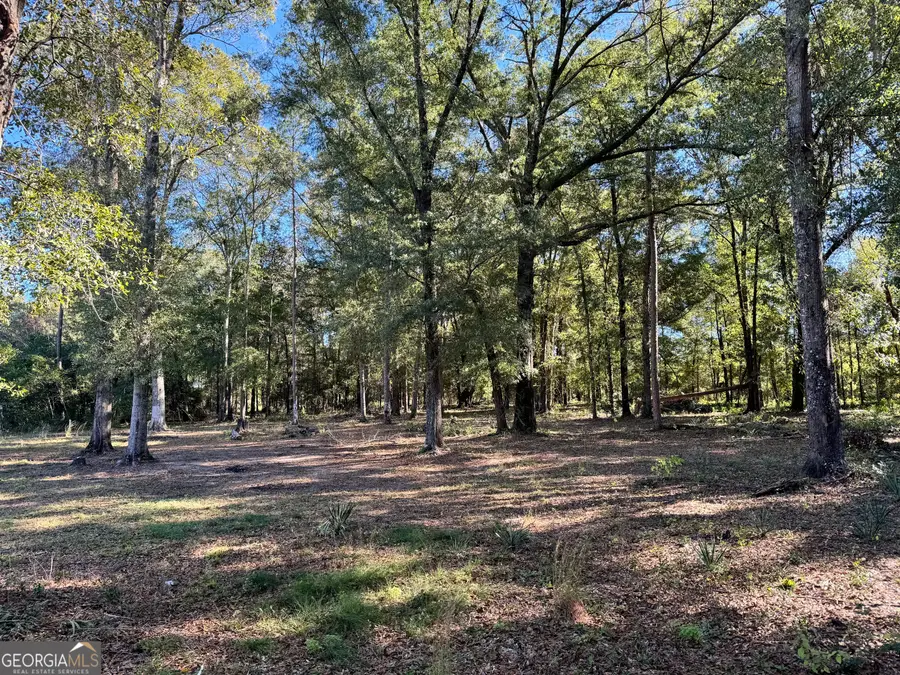 443 Fire Station Road, Vienna, GA 31092 - #3