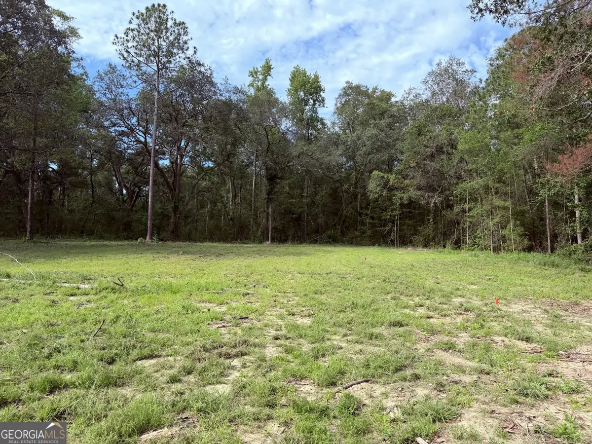 3980 Mosely Road, Claxton, GA 30417 - #1