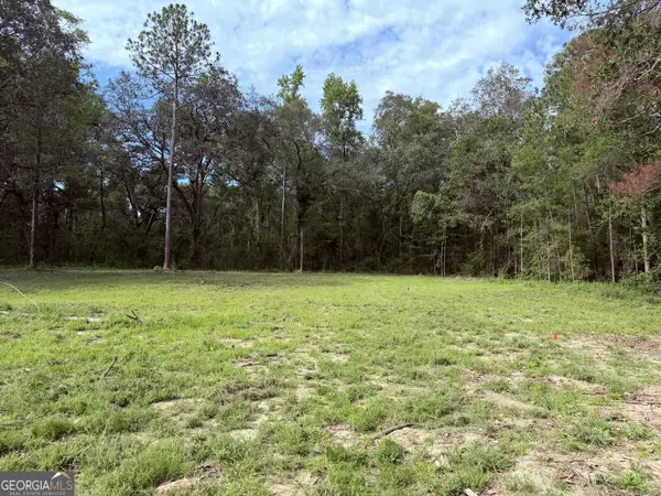 3980 Mosely Road, Claxton, GA 30417