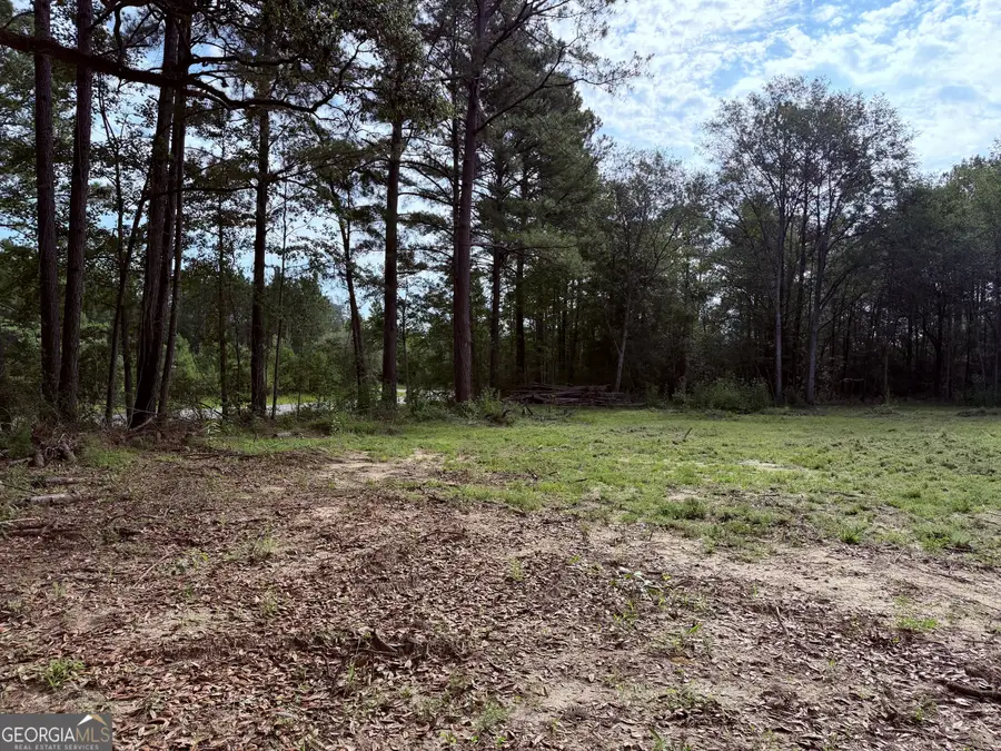 3980 Mosely Road, Claxton, GA 30417 - #2