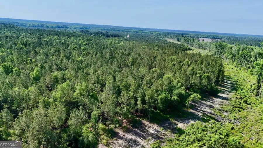 0 Tillman Cemetery Road, Lumber City, GA 31549 - #2