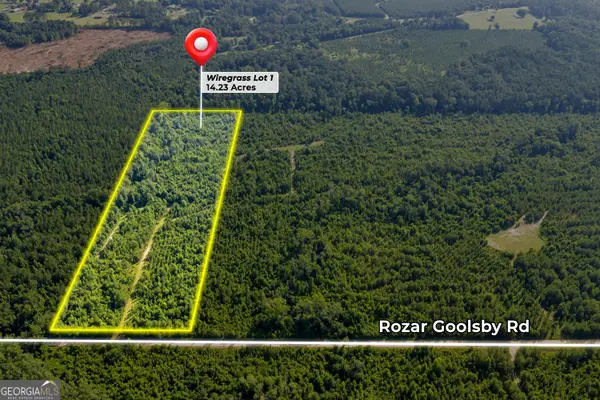 1 Rozar Goolsby Road, Eastman, GA 31023
